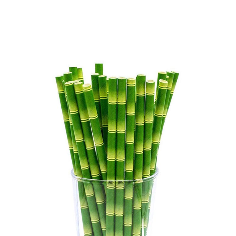 Bamboo Designed Paper Straws